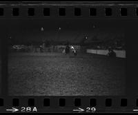 Bob Kreder Calf roping, 11.8 Sec