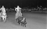 Unidentified Team ropers
