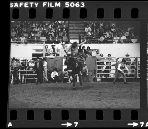 NFR, Oklahoma City, Roll B, 6th Perf. 12-11 to 14-1980