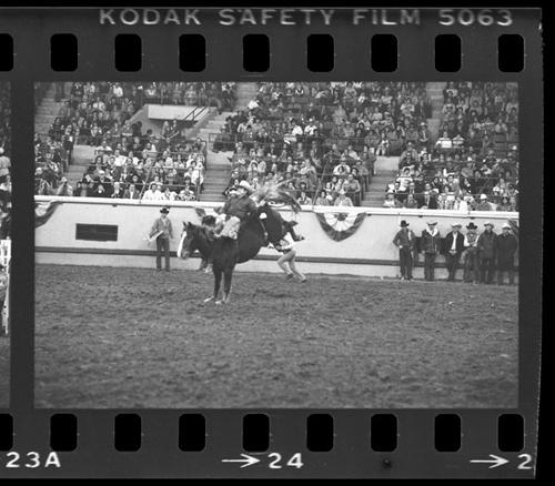 NFR, Oklahoma City, Roll Q, 5th Perf.