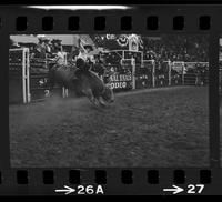 Jerome Robinson on Bull #726