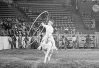 J.W. Stoker Trick roping