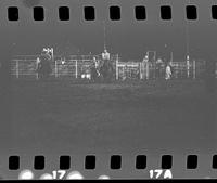 [No log sheet; unknown steer wrestlers and calf ropers]