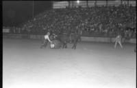 Rodeo clowns Bull fighting with Bull #B8