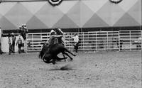 Don Garrett Calf roping