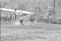 Jim Pendergast Steer wrestling