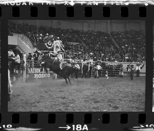 NFR, Oklahoma City,  Roll F, 4th Performance