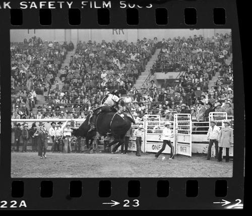 NFR, Oklahoma City, Roll F, 12-03 to 05-1977, 3rd Perf.