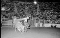 Mike Bandy on Bull #93