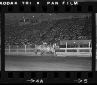 Elbert Van Doran on Lost Canyon