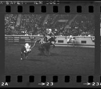 Bobby Goodspeed Calf roping