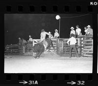 Ken Gibson on Bull #X5