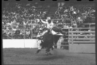 Jerry LaValley on Bull #14