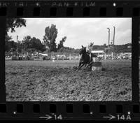 Maryann Reeder Barrel racing