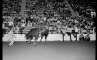 Butch Kirby on Bull #T9