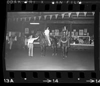 Unidentified Show horse parade