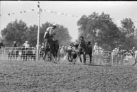 Larry Dawson Steer wrestling