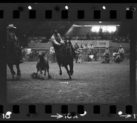 Jack Milhollin Steer wrestling