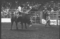 Lonnie Wyatt on Bull #61