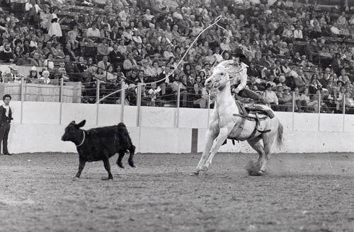 Kansas City, Roll B, 11-09 to 14-1976, 1st Perf.