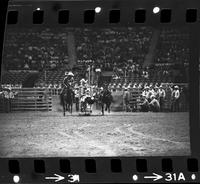 Steve Gramith Steer wrestling