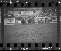 Sonny Ehr Steer wrestling