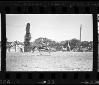 Mike Crane riding Bareback