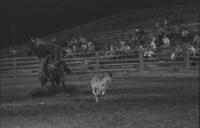 Allen Brinkerhoff Calf roping