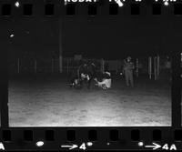 Unknown Bull rider