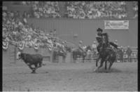 Buddy Steberson Calf roping