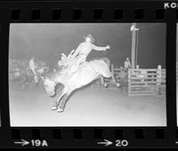 Dan Dailey on Saddle bronc #101