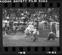 Randy Magers on Bull #45