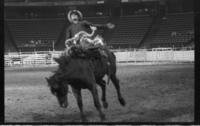 Rick Carpenter on Rocky Butte