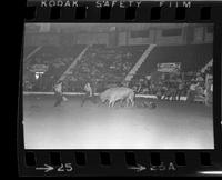 Doug Shipe & Geo. Doak Bull fighting with Bull #676