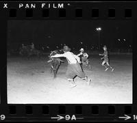 Rodeo clowns fighting with Bull #X