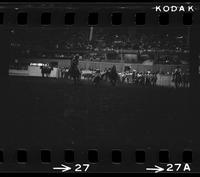 Donnie Bowles Steer wrestling