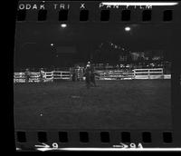 Zane Tibbetts Calf roping