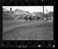 Jack Millhollen Steer wrestling