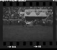 Tom Puryear Steer wrestling