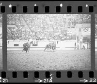 Junior Garrison Calf roping