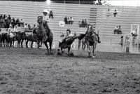 Paul Hughes Steer wrestling