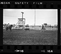 Phil Achenbach & Don Heberling Team roping