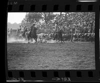 John McSweeney Steer wrestling