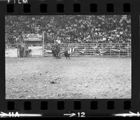 Gary Johnson Calf roping