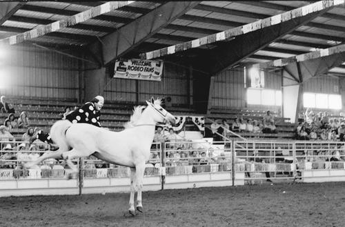 Springfield, Roll L, 05-19 to 22-1977