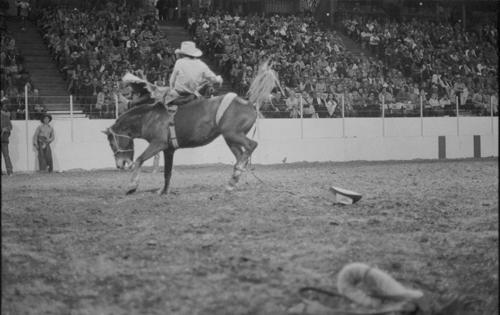Kansas City, Roll Q, 11-11 to 16-1975