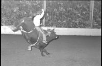 Lee Pyeatt on Bull #77