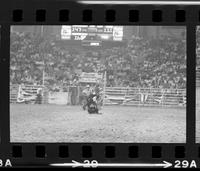 Greg Winham Calf roping