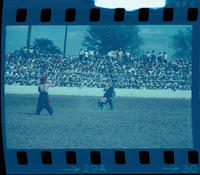 Gene & Bobby Clark