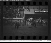 Don W. Smith Calf roping